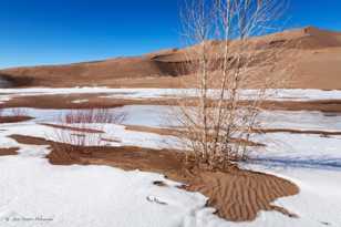 Great Sand Dunes-8286-2 Great Sand Dunes-8286-2